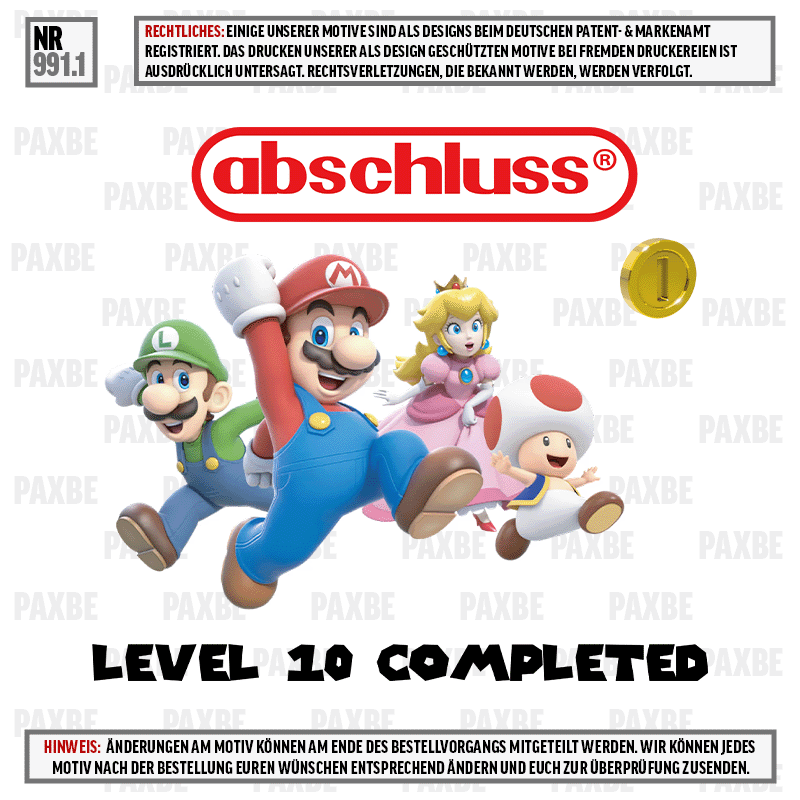 ABSCHLUSS SUPER MABIO LEVELl 10 COMPLETED 991.1